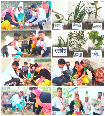 Medicinal Plantation Programme